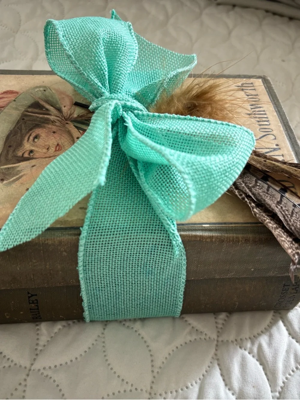 Vintage Book Stack 1924 Peacock’s Feathers by Bailey and  Capitola by Southward